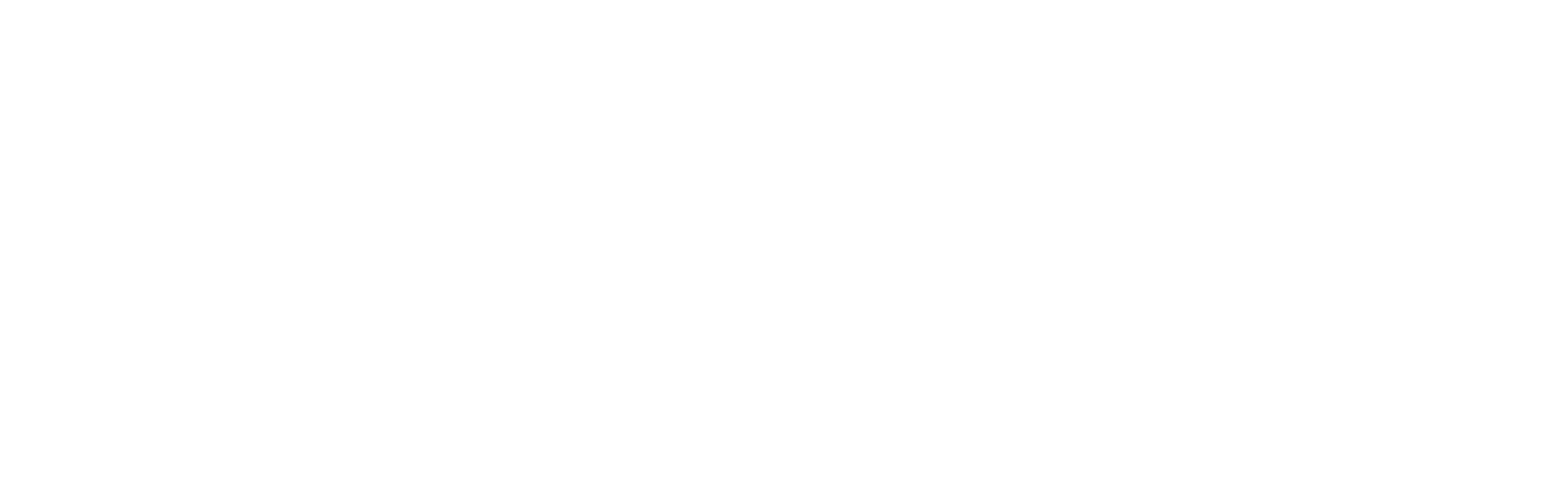AxeTM